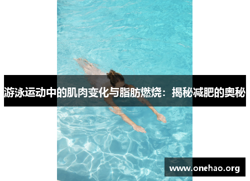 游泳运动中的肌肉变化与脂肪燃烧:揭秘减肥的奥秘 游泳运动中的肌肉变化与脂肪燃烧:揭秘减肥的奥秘