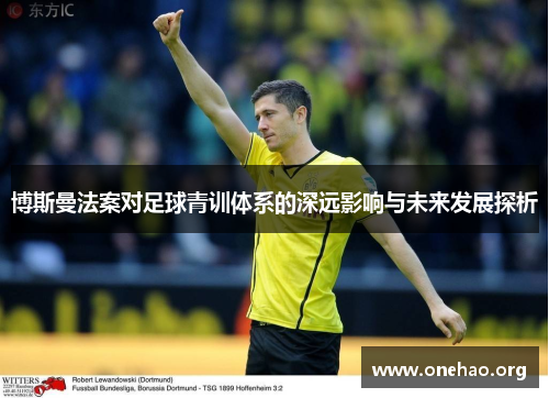 博斯曼法案对足球青训体系的深远影响与未来发展探析 博斯曼法案对足球青训体系的深远影响与未来发展探析