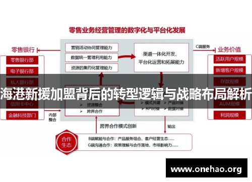 海港新援加盟背后的转型逻辑与战略布局解析 海港新援加盟背后的转型逻辑与战略布局解析