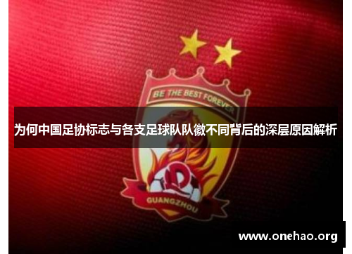 为何中国足协标志与各支足球队队徽不同背后的深层原因解析