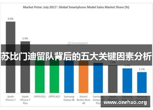 苏比门迪留队背后的五大关键因素分析 苏比门迪留队背后的五大关键因素分析