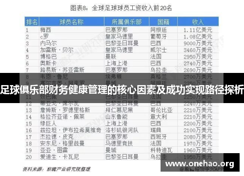 足球俱乐部财务健康管理的核心因素及成功实现路径探析 足球俱乐部财务健康管理的核心因素及成功实现路径探析